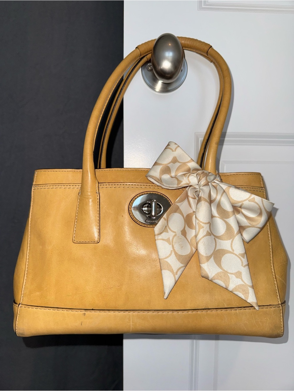Coach Madeline Leather Shopper Caryall with Ribbon F13675